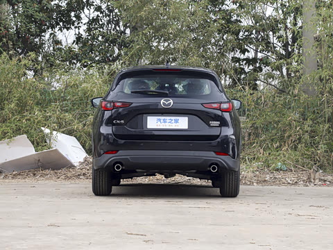 2025�� 2.0L �Զ�����������