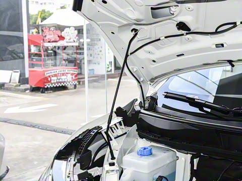 2026�� ������������