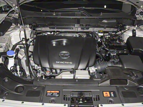 2025�� 2.0L �Զ�����������