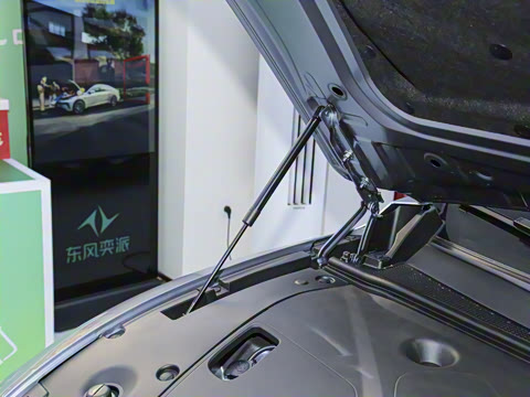 2025�� ���� 230ProѲ����