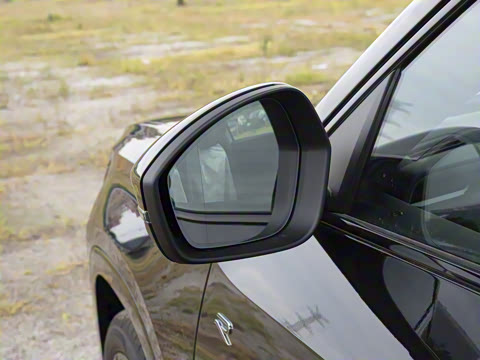 2026�� ;�� Pro 450TSI �����Ƿ��