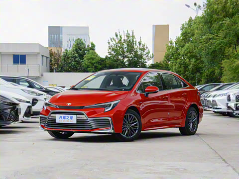 2024�� ���ܵ��˫�� 2.0L ������