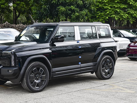 2025�� 501���������