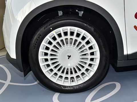 2026�� ���������������ر��