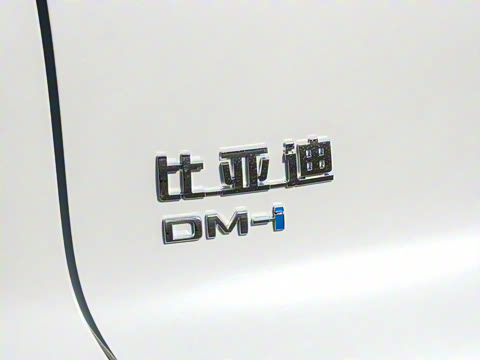 2026�� DM-i 133KM��ȡ��