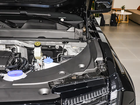 2025�� 205�������ܰ�