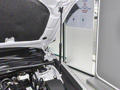 2026�� 2.0GVP ������