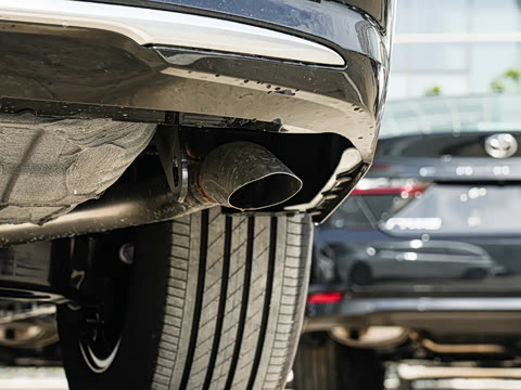 2026�� 2.5L ˫����������