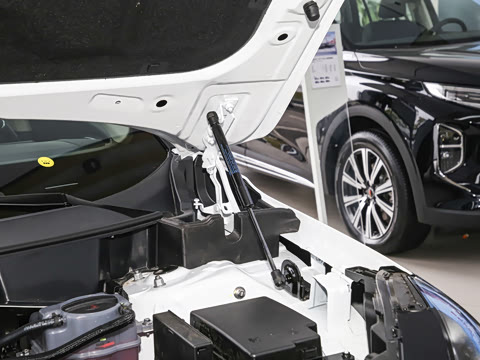 2025�� 125km ��ΪPLUS 200���������