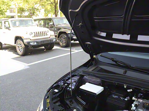 2025�� 550������