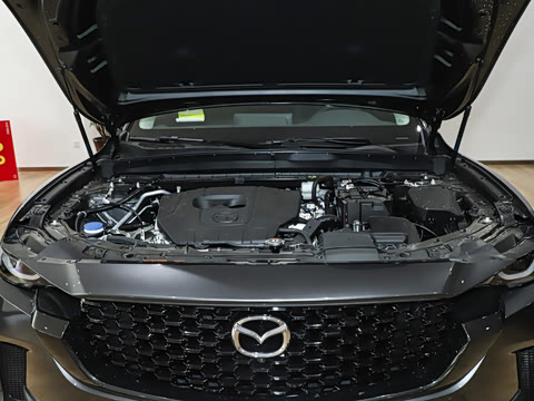 2026�� 2.5L ���а�