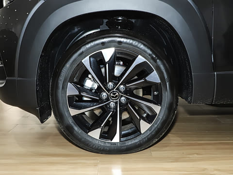 2026�� 2.5L ���а�