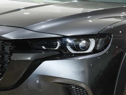 2026�� 2.5L ���а�