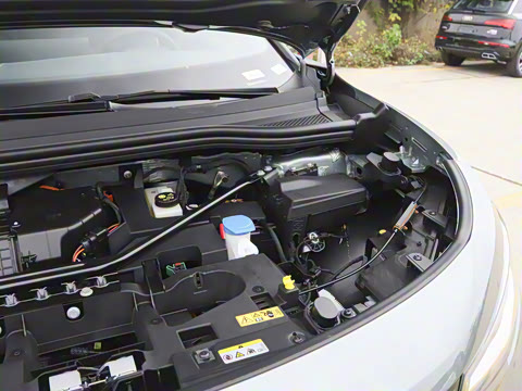 2026��  PURE+��