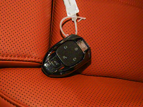 2025�� Ǭ��ϵ�� Pro ������