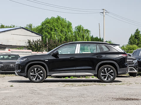 2026�� �Ŀ� ̽��L 300TSI ������Ӣ