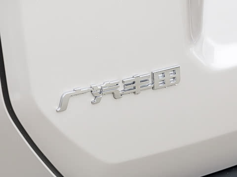 2026�� 2.0L ���ܵ��˫�� PRO