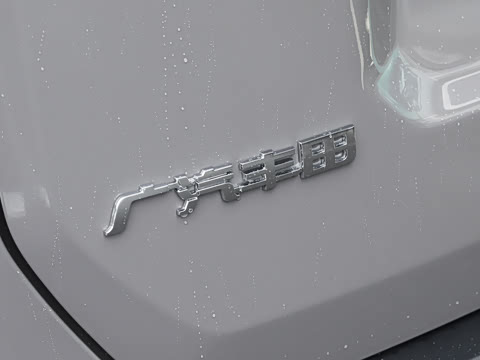 2026�� 2.0L ���ܵ��˫�� PRO