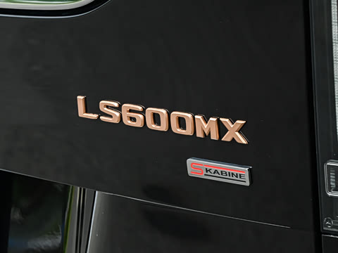 2026�� LS600MX �������� ����