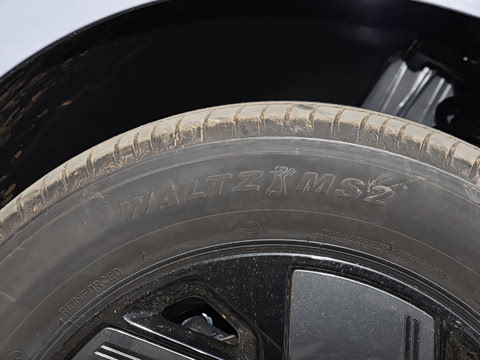 2026�� 625 Max �Ƽ���