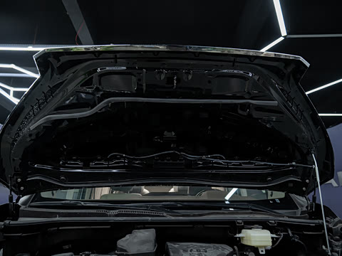 2025�� ������