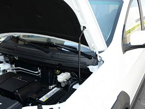 2025�� 1.5L ������