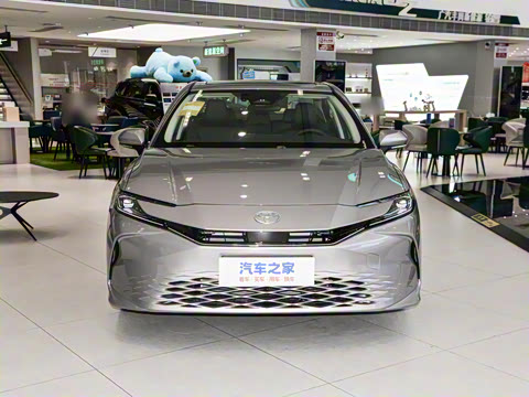 2026�� ˫�� 2.0HGVP ������