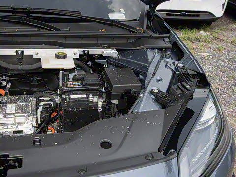 2026�� 520�Ǻ���