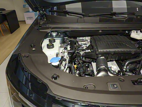 2026�� 220km ������ 5��