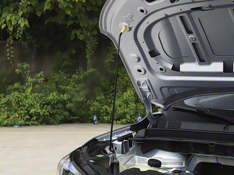 2025�� 401 ���а�