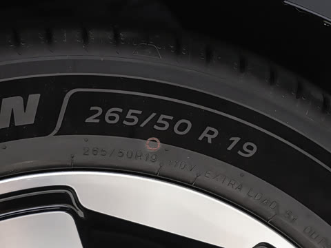 2026�� ���� ������