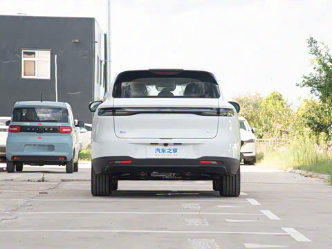 2025�� 600������