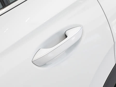 2026�� PRO 300TSI �������ð�