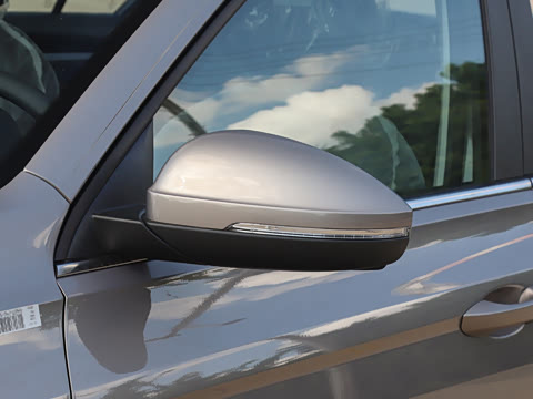 2025�� �Ŀ� 200TSI DSG���е�����