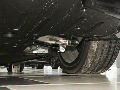 2026�� Max �����