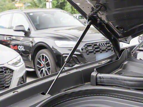 2026�� ����������