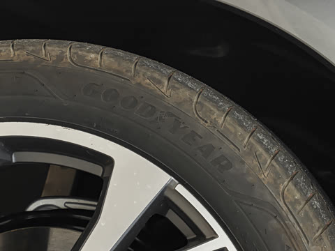 2026�� quattro Ǭ���Ǽݰ�