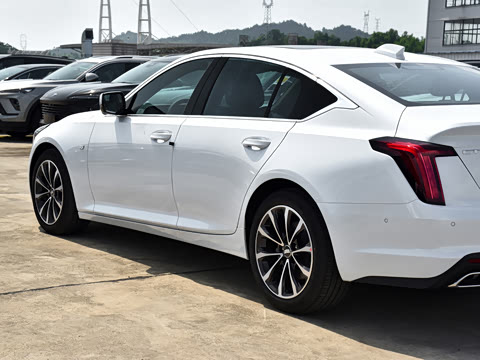2025�� 28T �����˶���