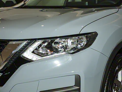 2025�� ���� 2.0L �������İ�