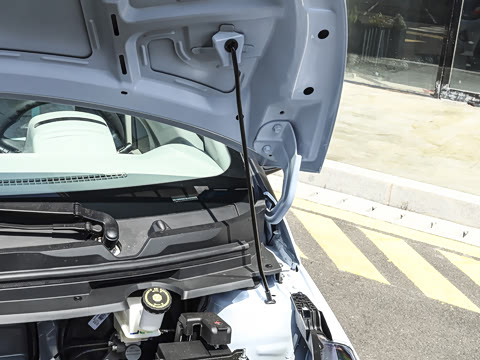 2026�� PLUS+ ������