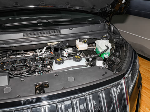 2026�� ���̰� 230�콢�� 7��