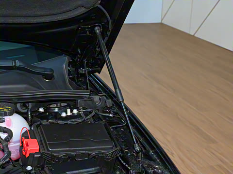 2025�� 28T ������