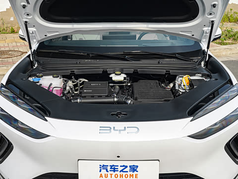 2026�� DM-i 310�콢��
