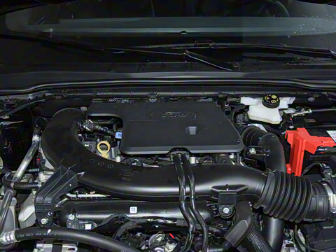 2026  2.0T  EcoBoost  