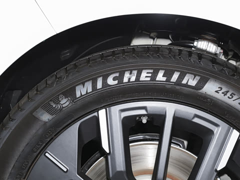 2025�� 825 Max��