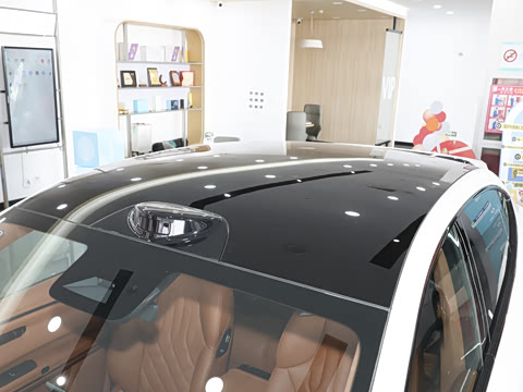 2025�� 825 Max��