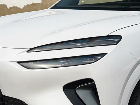 2026�� DM-i 310�콢��