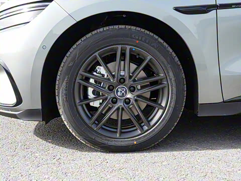 2025�� DM-i �Ǽݰ� 245KM�����