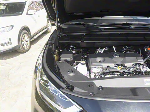 2026�� 2.5L���ܵ��˫���������� 7��