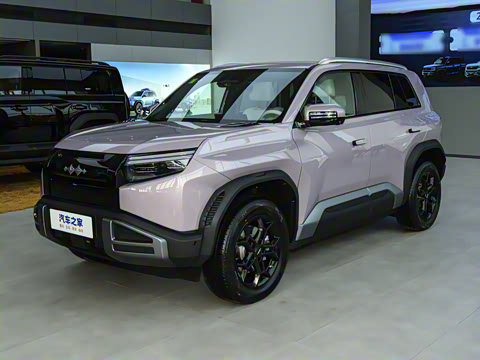 2025�� 501KM ����Max��